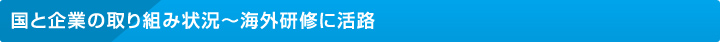 国と企業の取り組み状況～海外研修に活路